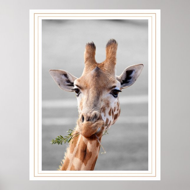 Gepunktet Poster (Vorne)