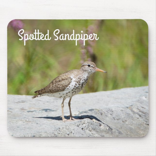 Gepunktet Sandpiper Mousepad (Vorne)