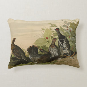 Gepunktet (Spruce) Grouse Audubon's Birds of Ameri Dekokissen