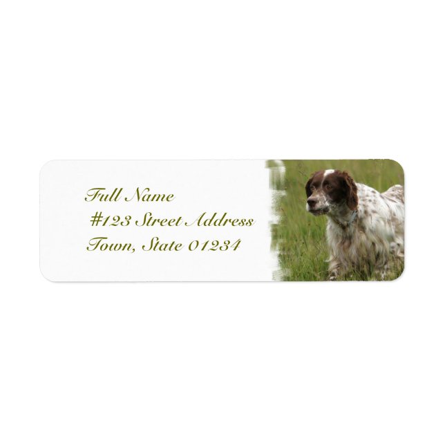 Gepunktete englische Setter Dog Mailing Labels (Vorne)