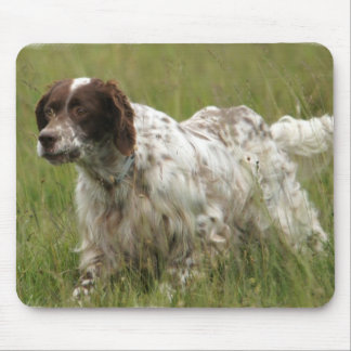 Gepunktete englischer Setzer-Hundemausunterlage Mousepad