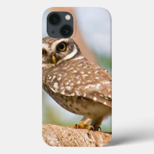 Gepunktete Eule auf dem Morgenflug. Case-Mate iPhone Hülle