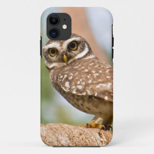 Gepunktete Eule auf Morgenflug Case-Mate iPhone Hülle