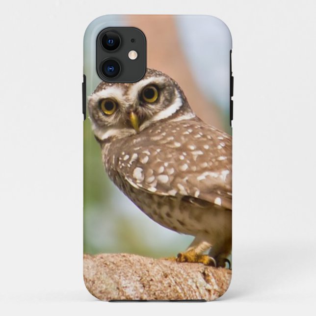Gepunktete Eule auf Morgenflug Case-Mate iPhone Hülle (Rückseite)
