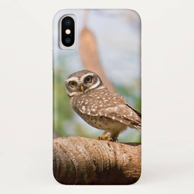 Gepunktete Eule auf Morgenflug Case-Mate iPhone Hülle (Rückseite)