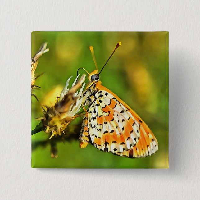 Gepunktete Fritillary Orange und White Butterfly Button (Vorderseite)