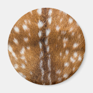 Gepunktete Hirschpelzstruktur Magnet