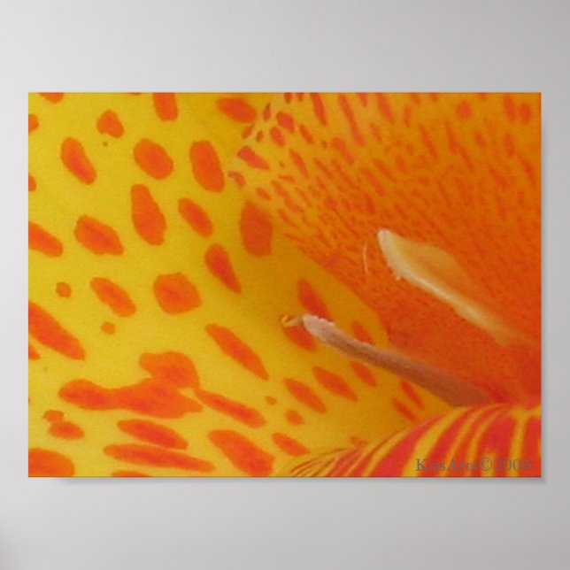 gepunktete Lilie Poster (Vorne)