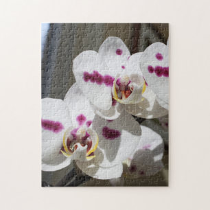 Gepunktete Orchid-Fotografie in Weiß und Rosa Puzzle