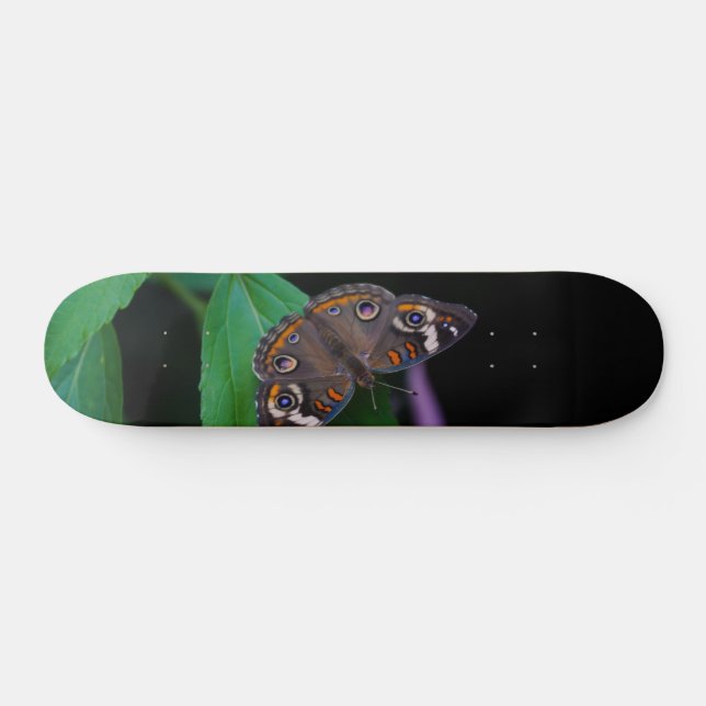 Gepunktete Schmetterlingsschuhtafel Skateboard (Horizontal)