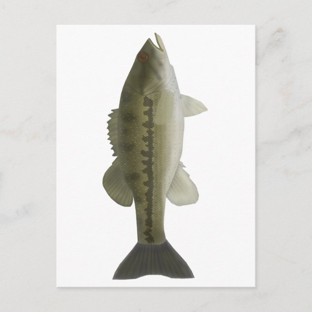 Gepunkteter Bass Postkarte (Vorderseite)