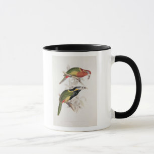 Gepunkteter Bill Aracari, 19. Jahrhundert Tasse