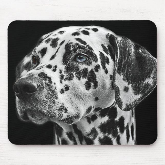 Gepunkteter Dalmatiner Hunde Foto Schwarz/Weiß Mousepad (Vorne)