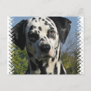Gepunkteter Dalmatiner Postkarte