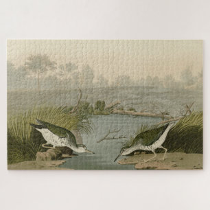 Gepunkteter Sandpiper von Audubons Vögeln in Ameri Puzzle
