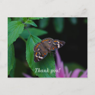 Gepunkteter Schmetterling Danke, Postcard Postkarte