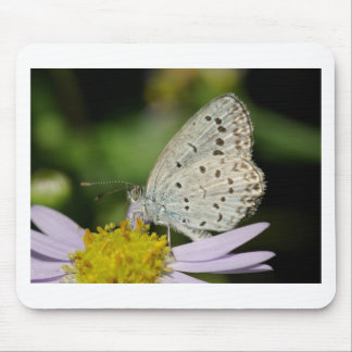 Gepunkteter Schmetterling Mousepad