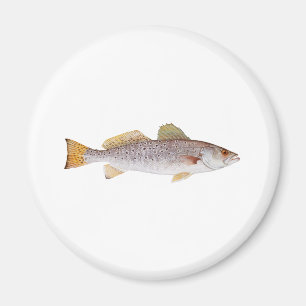 Gepunkteter Seatrout Magnet