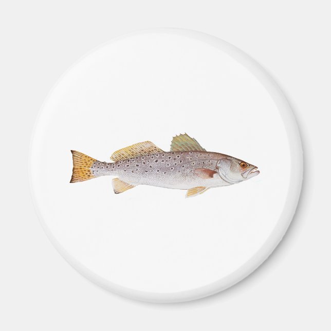 Gepunkteter Seatrout Magnet (Vorne)