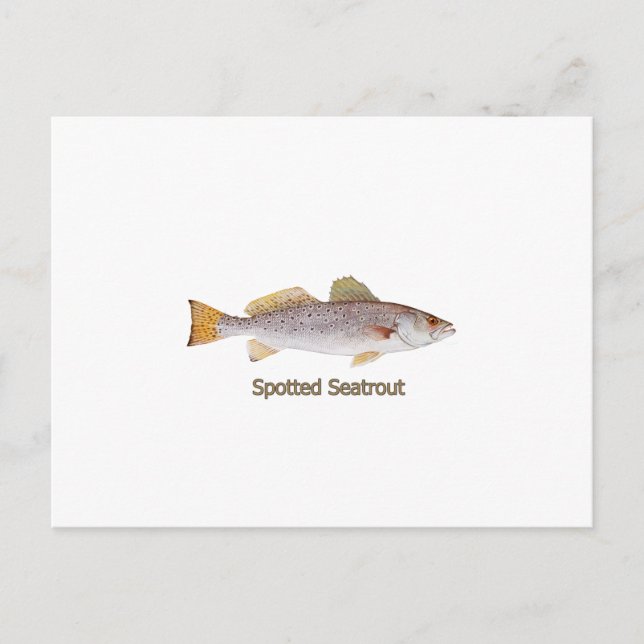 Gepunkteter Seatrout (mit Titel) Postkarte (Vorderseite)