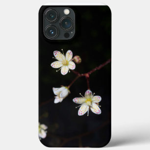 Gepunkteter Steinbrech für Handys iPhone 13 Pro Max Hülle