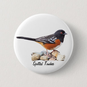GEPUNKTETER TOWHEE BUTTON