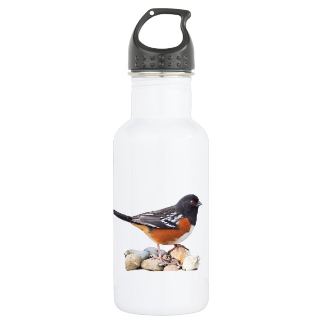 GEPUNKTETER TOWHEE EDELSTAHLFLASCHE (Vorderseite)
