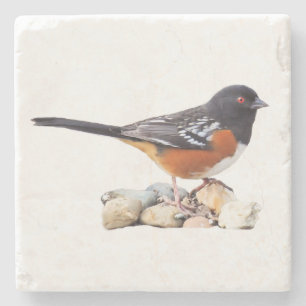 GEPUNKTETER TOWHEE STEINUNTERSETZER