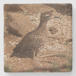 Gepunkteter Untersetzer "Thick Knee Bird Square"