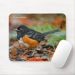 Gepunkteter Zackenbarsch im Herbstleaf Mousepad