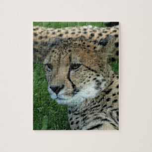 Gepunktetes Cheetah-Puzzlespiel Puzzle