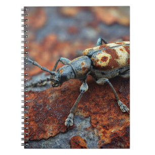 Gepunktetes Käfer-Rust-Notebook Notizblock