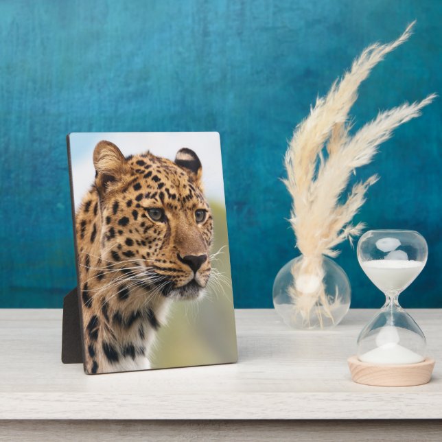 Gepunktetes Leopard-Face-Portrait Fotoplatte (Seite)