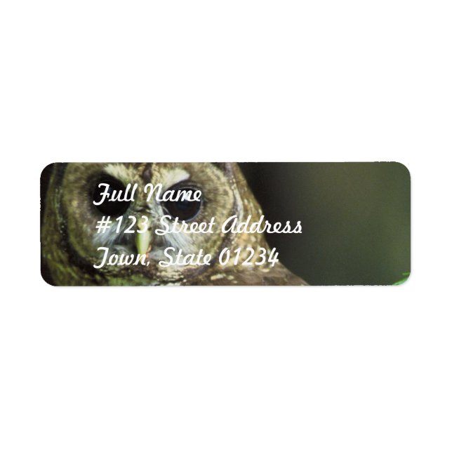 Gepunktetes Owl-Postetikett (Vorne)