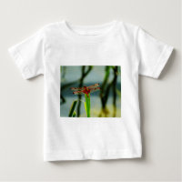 Gepunktetes Rotes und Schwarzes Dragonfly