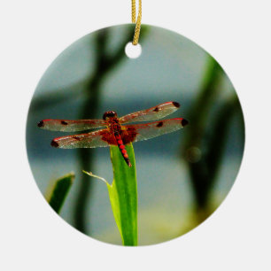 Gepunktetes Rotes und Schwarzes Dragonfly Keramikornament