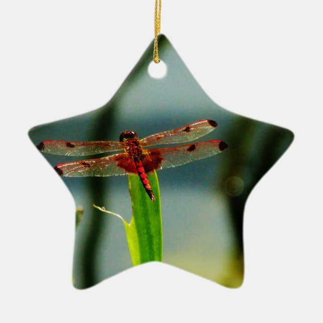 Gepunktetes Rotes und Schwarzes Dragonfly Keramikornament (Vorne)