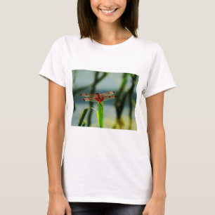 Gepunktetes Rotes und Schwarzes Dragonfly T-Shirt