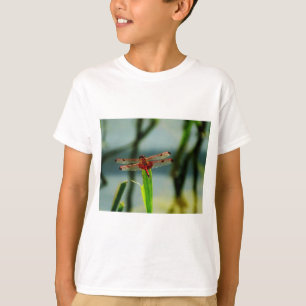 Gepunktetes Rotes und Schwarzes Dragonfly T-Shirt