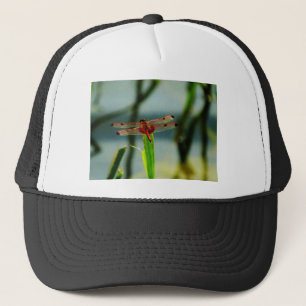 Gepunktetes Rotes und Schwarzes Dragonfly Truckerkappe