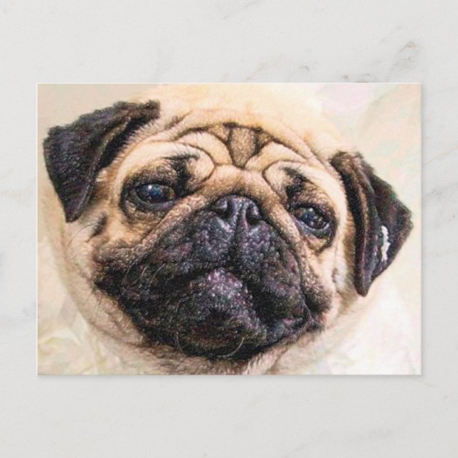 gequetscht postkarte (Vorderseite)