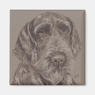 Ger. Drahtgeflecht Magnet