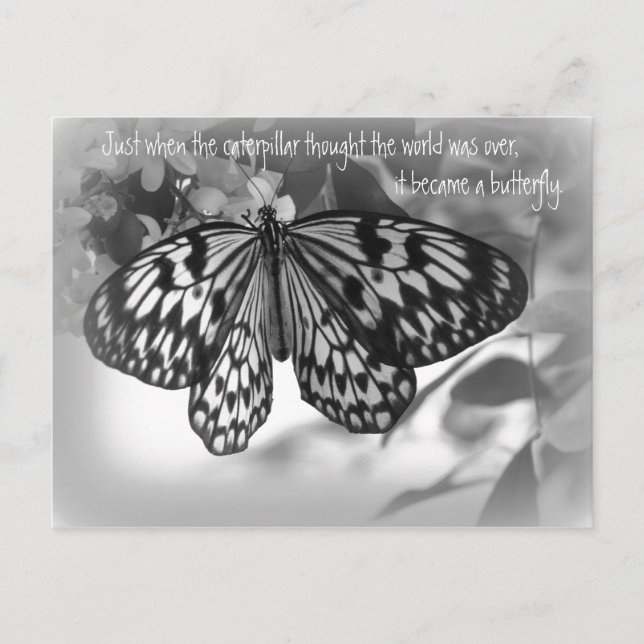 Gerade als die Raupe dachte, die Welt Postkarte (Vorderseite)