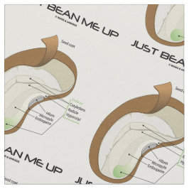 Gerade Bohne ich herauf Dicotyledon Stoff