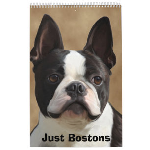 Gerade Bostons Kalender