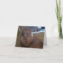 Gerade Chillin Anmerkungs-Karte Karte