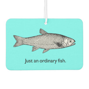 Gerade ein gewöhnlicher Fisch-Lufterfrischer Autolufterfrischer