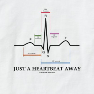 Gerade ein Herzschlag weg (EKG/ECG) T-Shirt