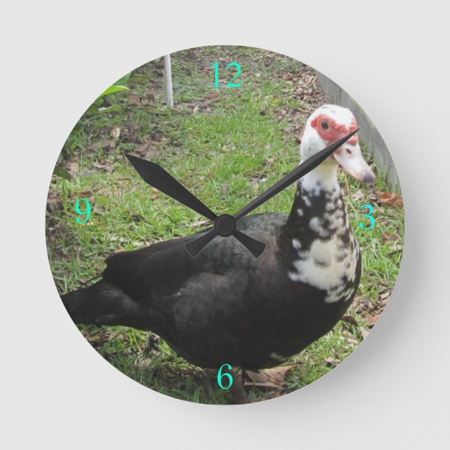 Gerade ein Qwack in der Zeit Runde Wanduhr (Vorderseite)