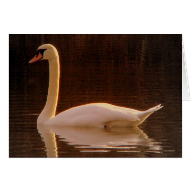 Gerade ein Traum (Vorderseite (Horizontal))